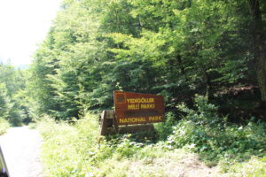 Yedigöller Milli Parkı_Bolu_Türkiye