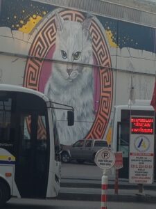 Aşti_Ankara_Türkiye