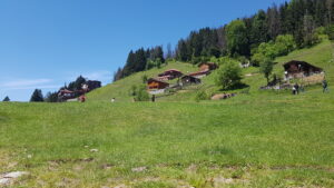 Ayder yaylası_Çamlıhemşin_Rize_Türkiye