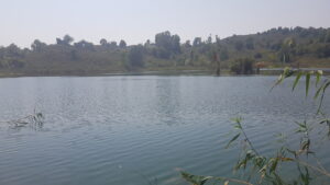 Gaga gölü_Fatsa_Ordu_Türkiye