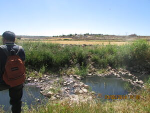 Nizip_Gaziantep_Türkiye