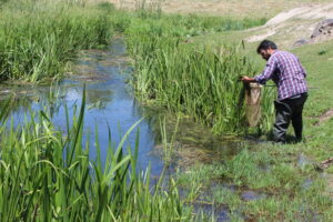 Patnos_Ağrı_Türkiye