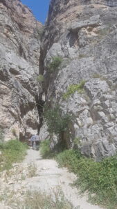 Cehennem Deresi Kanyonu_Ardanuç_Artvin_Türkiye