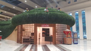 Havaalanı_Rize_Türkiye