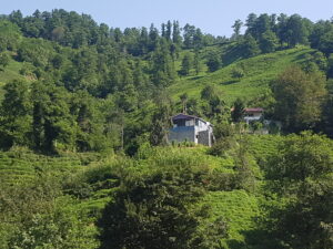 Hopa_Artvin_Türkiye