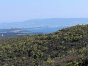 Saroz körfezi_Çanakkale_Türkiye