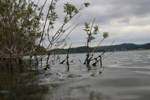 Tahtalı barajı_İzmir_Türkiye