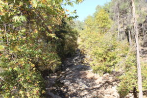 Çamlıyayla_Mersin_Türkiye