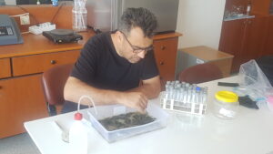 just work / Hitit Üniv. Hydrobiology lab. / Turkiye